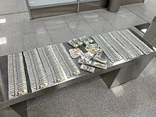 На таможне в Домодедово у россиянина нашли $100 тысяч
