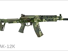 Первую партию укороченных автоматов АК-12К передали в войска