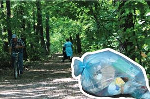 Пиар-субботники. Кто будет убирать мусор в ульяновских лесопарках?