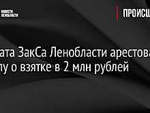 Депутата ЗакСа Ленобласти арестовали по делу о взятке в 2 млн рублей