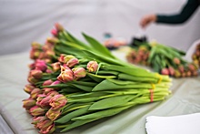 Сотрудники МЧС Беларуси перед 8 Марта подарили женщинам тюльпаны и спели песни