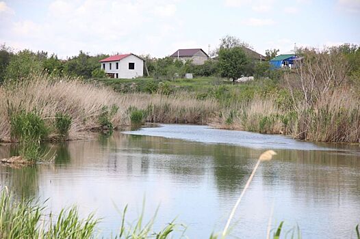 В Волгограде оценят степень загрязнения поймы реки Царицы