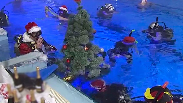 Елка под водой и Дед Мороз-водолаз: как в Приморье готовятся к встрече Нового года