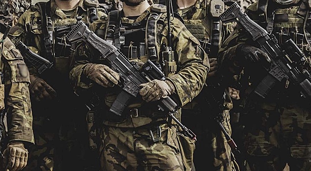 В&nbsp;Европе раскрыли задачи иностранного контингента на&nbsp;Украине