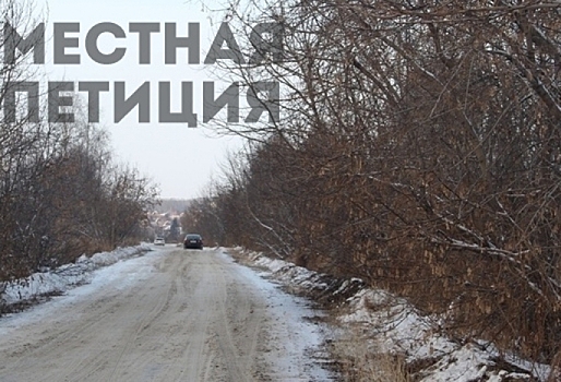 Омская мэрия ответила организаторам петиции, которые переживают за безопасность своих детей