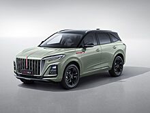 Названы марки автомобилей, на которых раньше ездили владельцы Hongqi