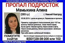 В Нижнем Новгороде пропала 16-летняя Алина Мамыкина