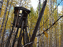 Семьи, на чьей судьбе оставила отпечаток сталинская эпоха