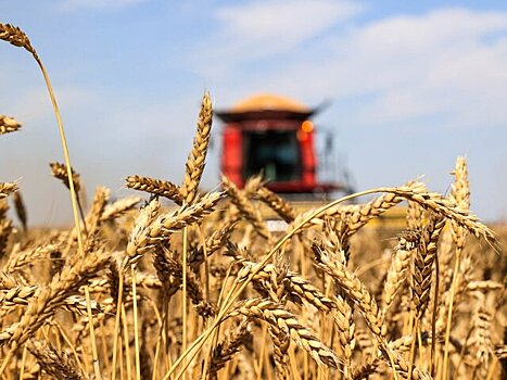 Эксперт Карпов: ни о каком дефиците урожая внутри РФ не может идти речи