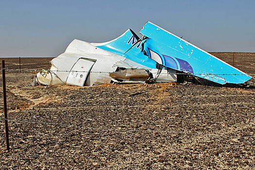 Египет не признал терактом крушение А321 над Синаем