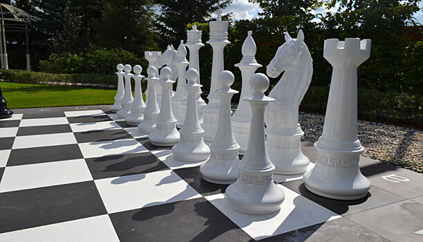 В Петрозаводске сегодня отпразднуют Международный день шахмат