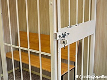 В ЛНР женщину приговорили к девяти годам из-за гибели троих человек в ДТП