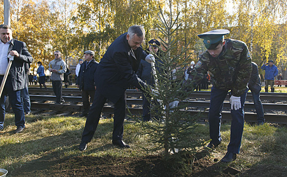 Аллея к юбилею