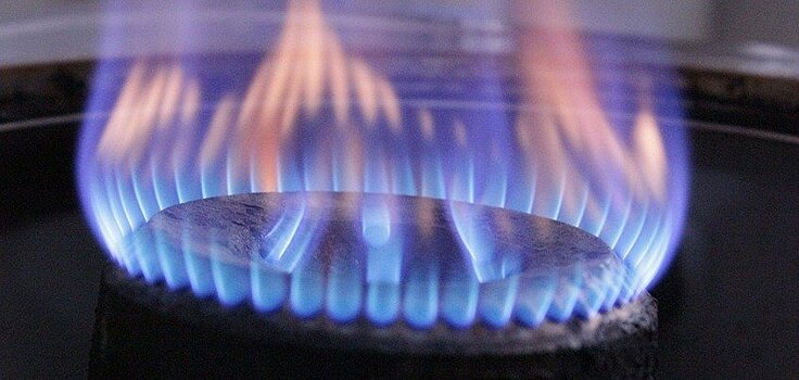 Случай с отключением от газа ветхих домов в Ижевске обсудят на федеральном уровне