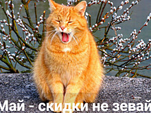 Праздничные распродажи и лучшие скидки Петрозаводска