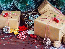 Адвокат рассказал о росте кибермошенничества перед Новым годом