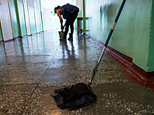 Мэр Тимашевска Панин предложил блогерам работать косарями и уборщиками