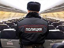 Туристка не улетела в Египет из-за нецензурных ругательств во время досмотра