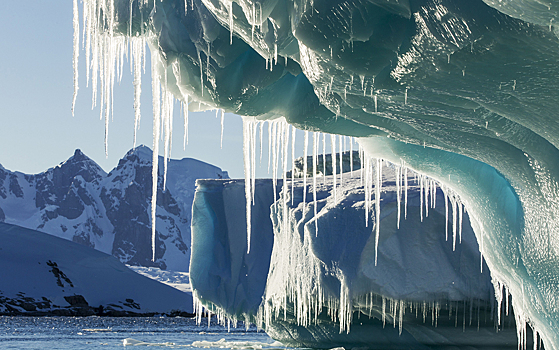 Таяние вечной мерзлоты приведет к росту лиственничных лесов