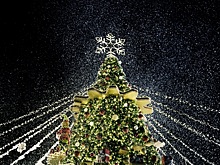 Для жителей Бердска купят новогоднюю елку за два миллиона рублей