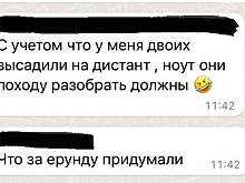 Свердловские родители: перевод школьников на дистант провалился. «Ерунду придумали»