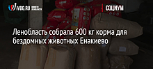 Ленобласть собрала 600 кг корма для бездомных животных Енакиево