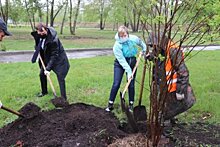 Общественный совет при городской полиции присоединился к Международной акции «Сад памяти»