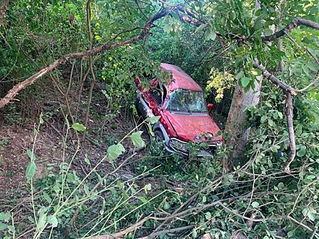 В Краснодаре внедорожник влетел в дерево, водитель погиб