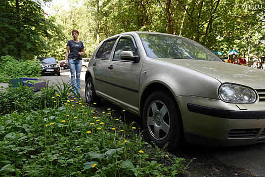 ЦОДД рекомендовал водителям не парковаться под деревьями из-за прогнозируемой грозы
