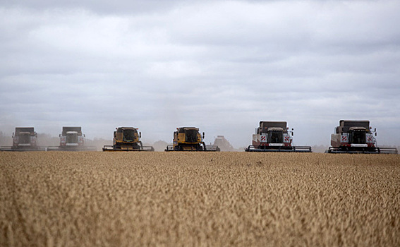 Аграриям компенсируют до 50% расходов на зерносушилки