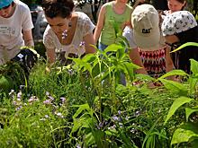 Терапевтический сад появится рядом с Савеловским