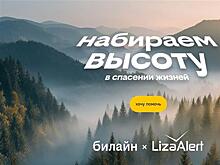 Билайн запускает кампанию по сбору на оборудование для "ЛизаАлерт": набираем высоту в спасении жизней