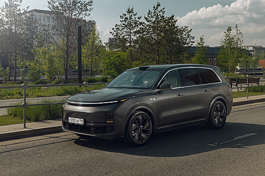 «Серые» бестселлеры: лидеры авторынка России среди неофициальных марок