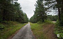 На территории лесного фонда Татарстана выявили и ликвидировали 74 несанкционированные свалки