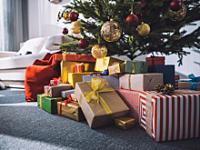 В России открылась горячая линия по вопросам выбора новогодних подарков