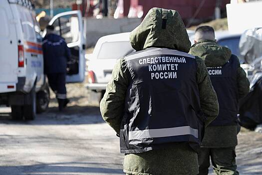 В российском городе поймали банду работающих по всей стране карманниц