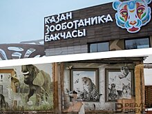 Изнанка Казани: минимализм нового и руины старого зоопарков