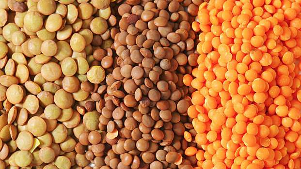 Врач раскрыла, в каких продуктах больше всего растительного белка