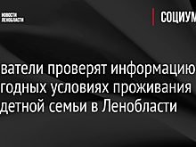Следователи проверят информацию о непригодных условиях проживания многодетной семьи в Ленобласти