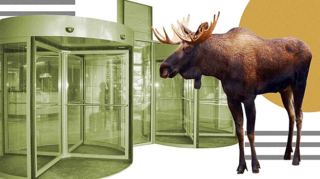 «Лосиный Остров»: нацпарк проиграл в Верховном суде контроль над 16 га земель