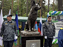 Памятник служебной собаке открыли в Новосибирске