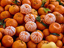 SHOT: новогодний спор обернулся переломом ребра для 20-летней девушки из Москвы