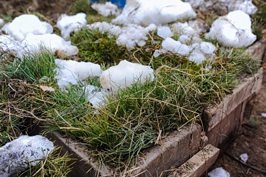 Снег и град обрушились на Волгоградскую область вечером 22 апреля