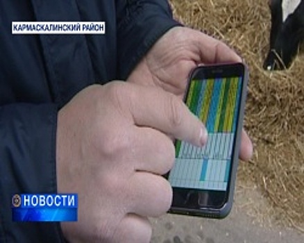 Башкирские аграрии управляют фермами и следят за тысячным поголовьем коров с помощью мобильного телефона