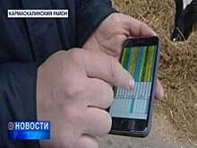 Башкирские аграрии управляют фермами и следят за тысячным поголовьем коров с помощью мобильного телефона