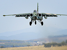 Су-35 вынудил совершить посадку "воздушного нарушителя"