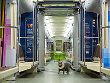 Наука на колесах