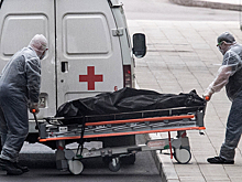 Трупы в подвале: что произошло в барнаульской больнице