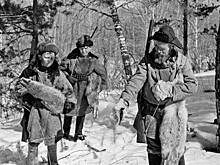 У русских с какими фамилиями предки были сибиряками