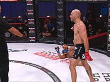 Bellator 259: Саад Авад нокаутировал Нейта Эндрюса и требовал судью остановить бой, видео